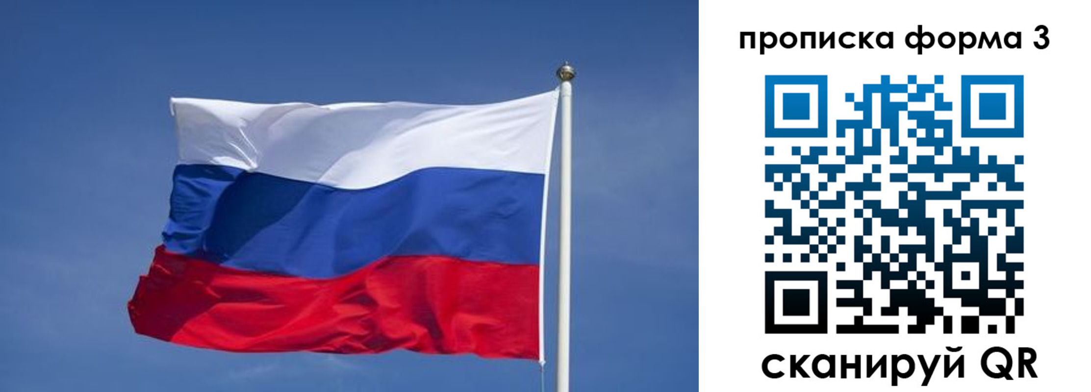 прописка 2025 в Сафоново